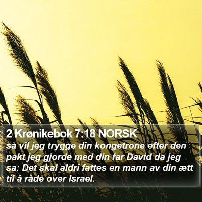 2 Krønikebok 7:18 NORSK Bible Verse Image