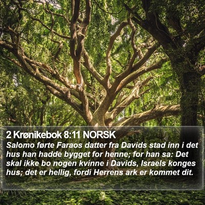 2 Krønikebok 8:11 NORSK Bible Verse Image