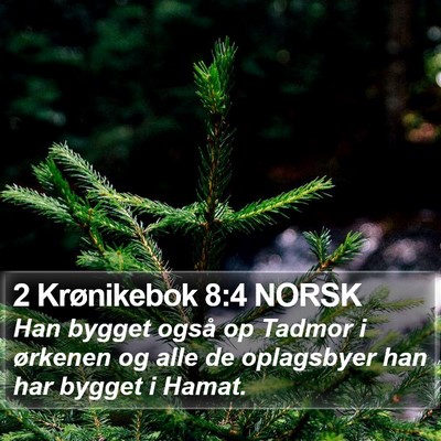 2 Krønikebok 8:4 NORSK Bible Verse Image