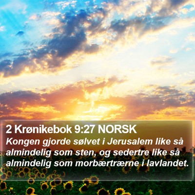 2 Krønikebok 9:27 NORSK Bible Verse Image