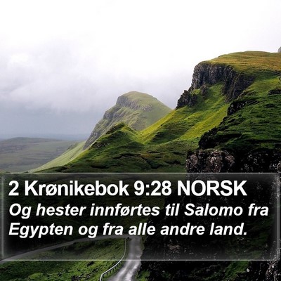 2 Krønikebok 9:28 NORSK Bible Verse Image