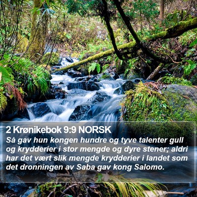 2 Krønikebok 9:9 NORSK Bible Verse Image