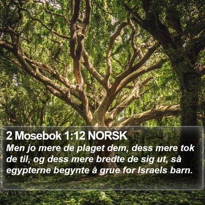 2 Mosebok 1:12 NORSK Bible Verse Image
