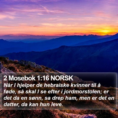 2 Mosebok 1:16 NORSK Bible Verse Image
