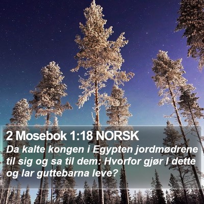 2 Mosebok 1:18 NORSK Bible Verse Image