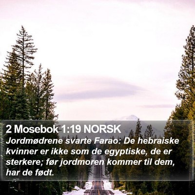 2 Mosebok 1:19 NORSK Bible Verse Image