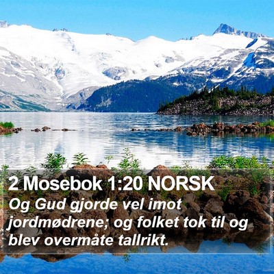 2 Mosebok 1:20 NORSK Bible Verse Image