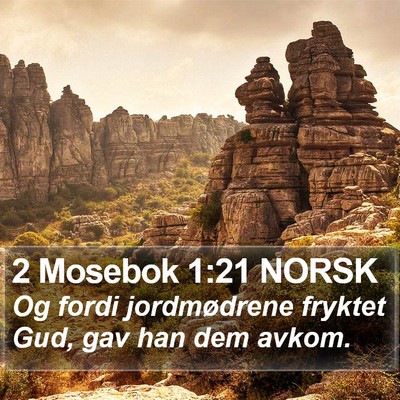 2 Mosebok 1:21 NORSK Bible Verse Image