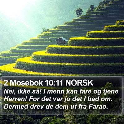 2 Mosebok 10:11 NORSK Bible Verse Image