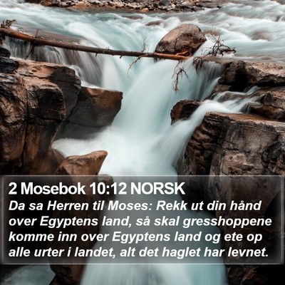 2 Mosebok 10:12 NORSK Bible Verse Image