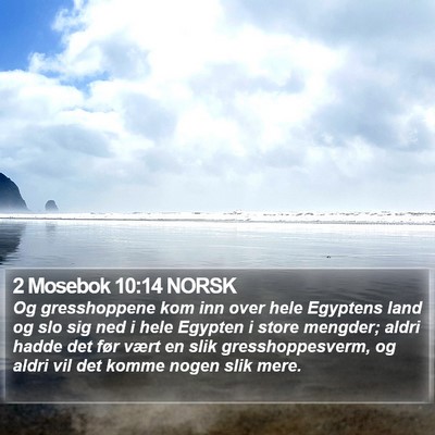 2 Mosebok 10:14 NORSK Bible Verse Image