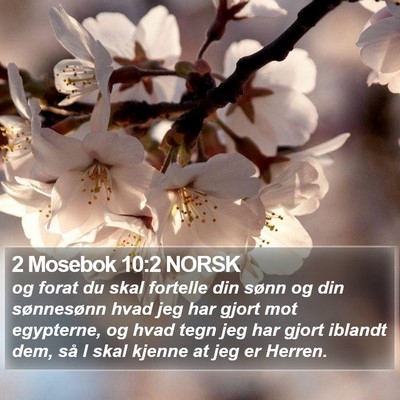 2 Mosebok 10:2 NORSK Bible Verse Image
