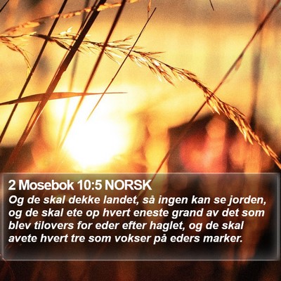 2 Mosebok 10:5 NORSK Bible Verse Image