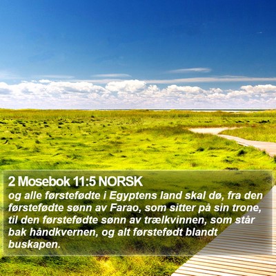 2 Mosebok 11:5 NORSK Bible Verse Image