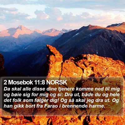 2 Mosebok 11:8 NORSK Bible Verse Image