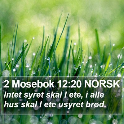 2 Mosebok 12:20 NORSK Bible Verse Image