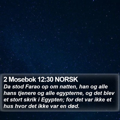 2 Mosebok 12:30 NORSK Bible Verse Image