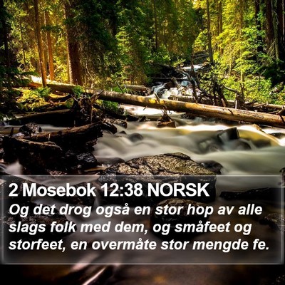2 Mosebok 12:38 NORSK Bible Verse Image