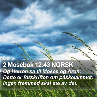 2 Mosebok 12:43 NORSK Bible Verse Image