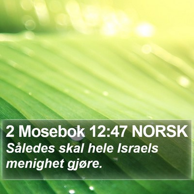 2 Mosebok 12:47 NORSK Bible Verse Image