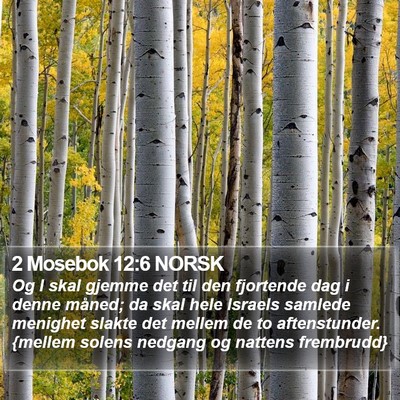 2 Mosebok 12:6 NORSK Bible Verse Image