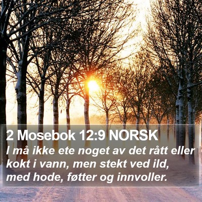 2 Mosebok 12:9 NORSK Bible Verse Image