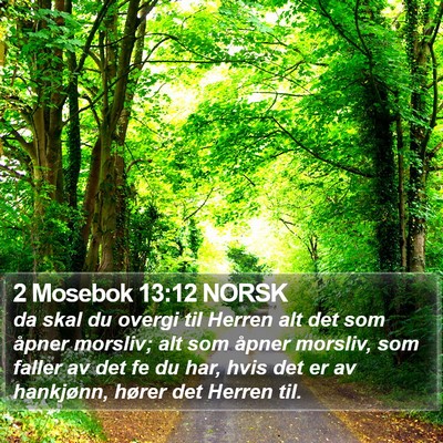 2 Mosebok 13:12 NORSK Bible Verse Image