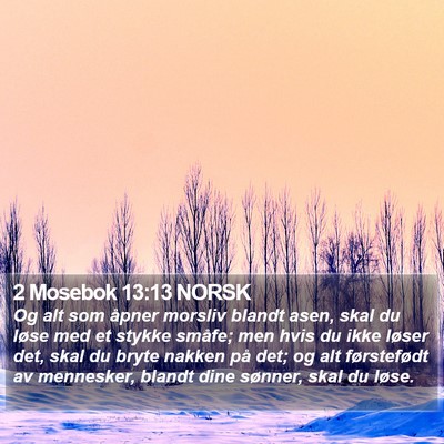 2 Mosebok 13:13 NORSK Bible Verse Image