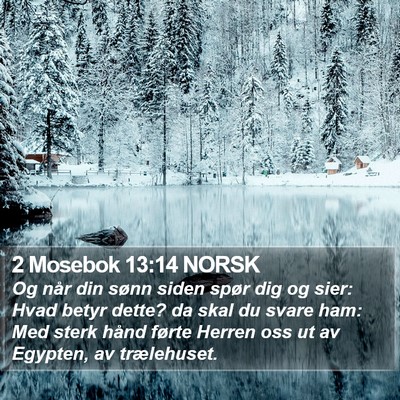 2 Mosebok 13:14 NORSK Bible Verse Image