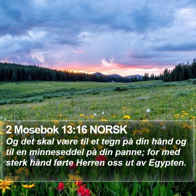 2 Mosebok 13:16 NORSK Bible Verse Image