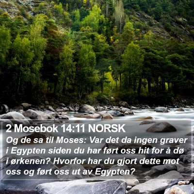 2 Mosebok 14:11 NORSK Bible Verse Image