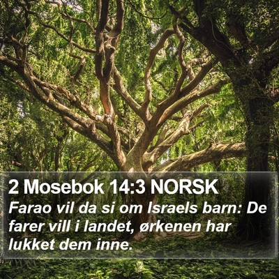 2 Mosebok 14:3 NORSK Bible Verse Image