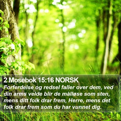 2 Mosebok 15:16 NORSK Bible Verse Image