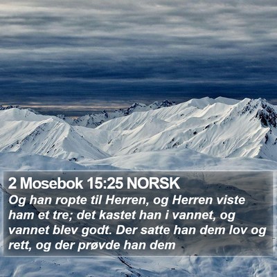 2 Mosebok 15:25 NORSK Bible Verse Image