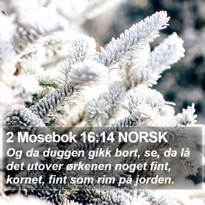 2 Mosebok 16:14 NORSK Bible Verse Image