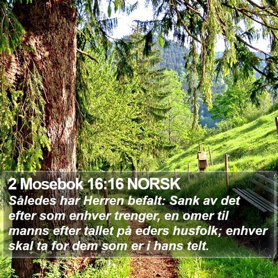 2 Mosebok 16:16 NORSK Bible Verse Image