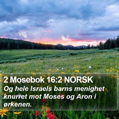 2 Mosebok 16:2 NORSK Bible Verse Image