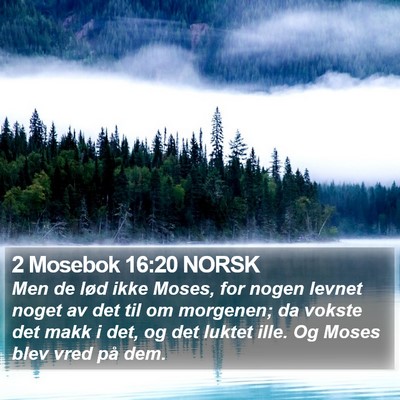 2 Mosebok 16:20 NORSK Bible Verse Image