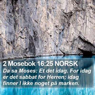 2 Mosebok 16:25 NORSK Bible Verse Image