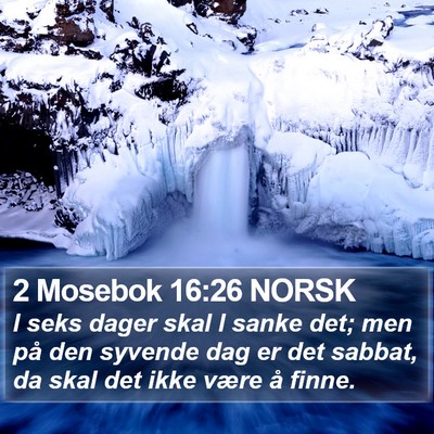 2 Mosebok 16:26 NORSK Bible Verse Image