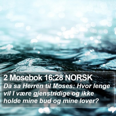 2 Mosebok 16:28 NORSK Bible Verse Image