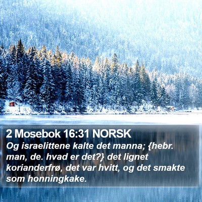 2 Mosebok 16:31 NORSK Bible Verse Image