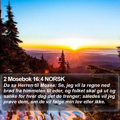 2 Mosebok 16:4 NORSK Bible Verse Image