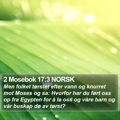 2 Mosebok 17:3 NORSK Bible Verse Image