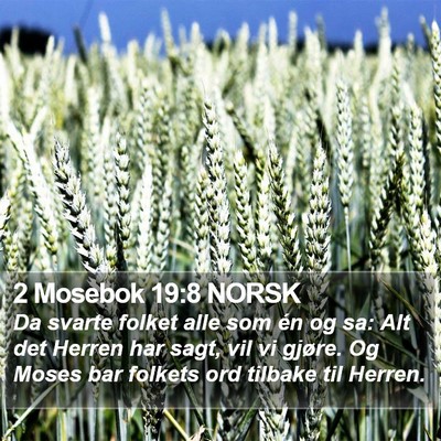 2 Mosebok 19:8 NORSK Bible Verse Image