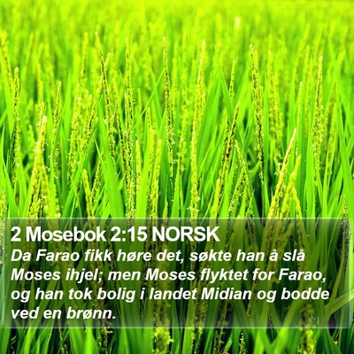 2 Mosebok 2:15 NORSK Bible Verse Image