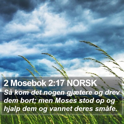 2 Mosebok 2:17 NORSK Bible Verse Image