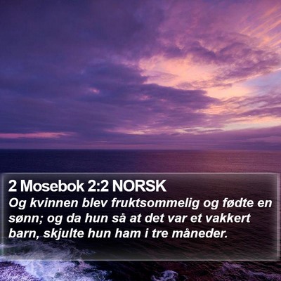 2 Mosebok 2:2 NORSK Bible Verse Image
