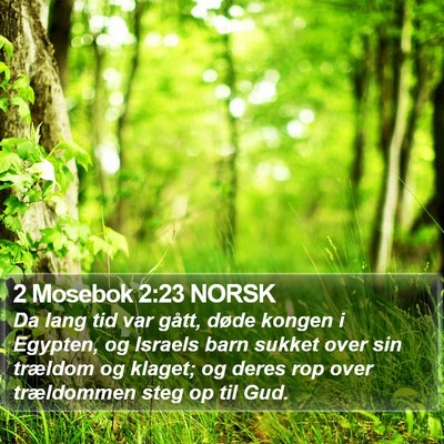 2 Mosebok 2:23 NORSK Bible Verse Image
