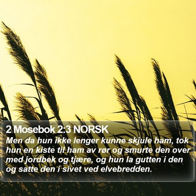 2 Mosebok 2:3 NORSK Bible Verse Image